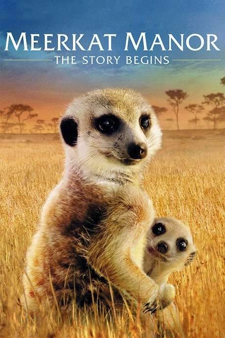 Meerkat Manor: The Story Begins